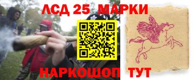 гашик Волжский