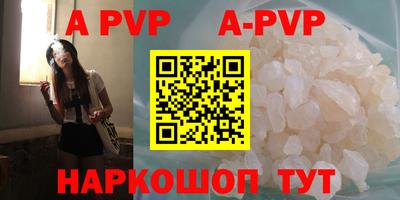 гашик Волжский