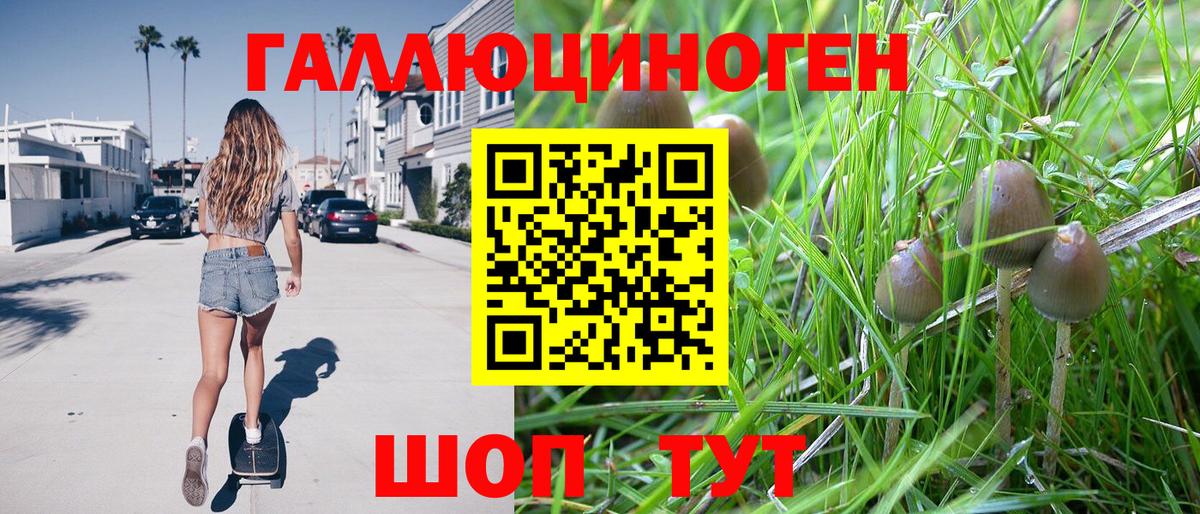 Псилоцибиновые грибы Magic Shrooms Железногорск
